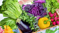 zelenina vegetables-790022 1280